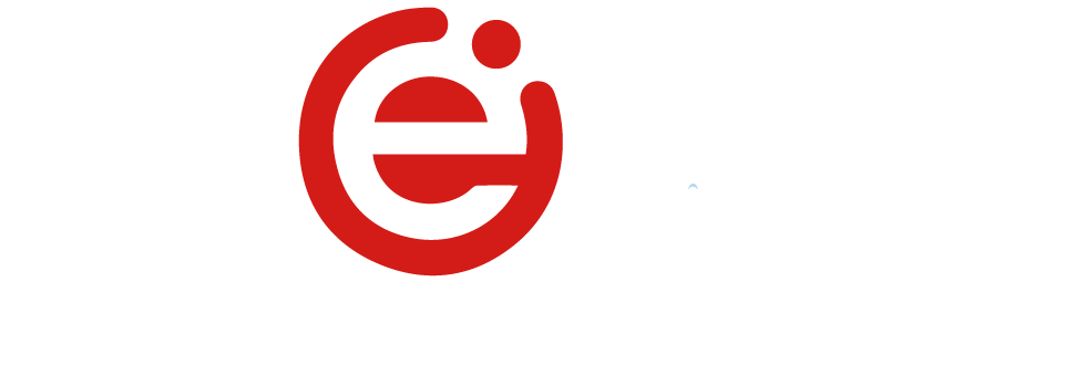 Next Level Techie