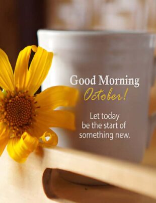good morning sunday blessings images and quotes