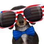 memes 4th of july funny quotes