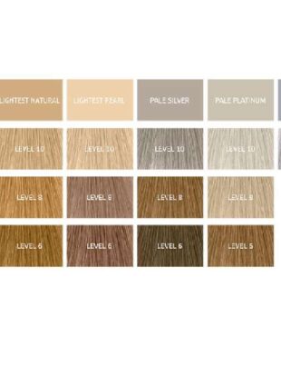 Wella Toner Chart Before and After -
