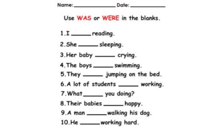 Was Were Worksheet for Class 2
