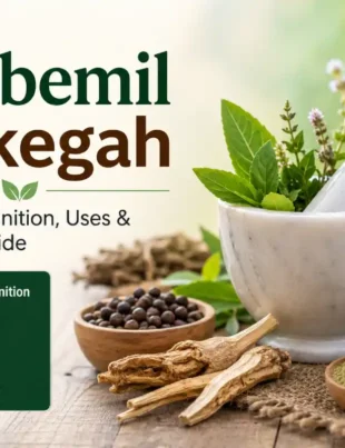 sambemil vezkegah